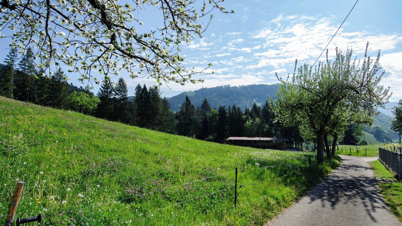 Photo of Others in Hausach