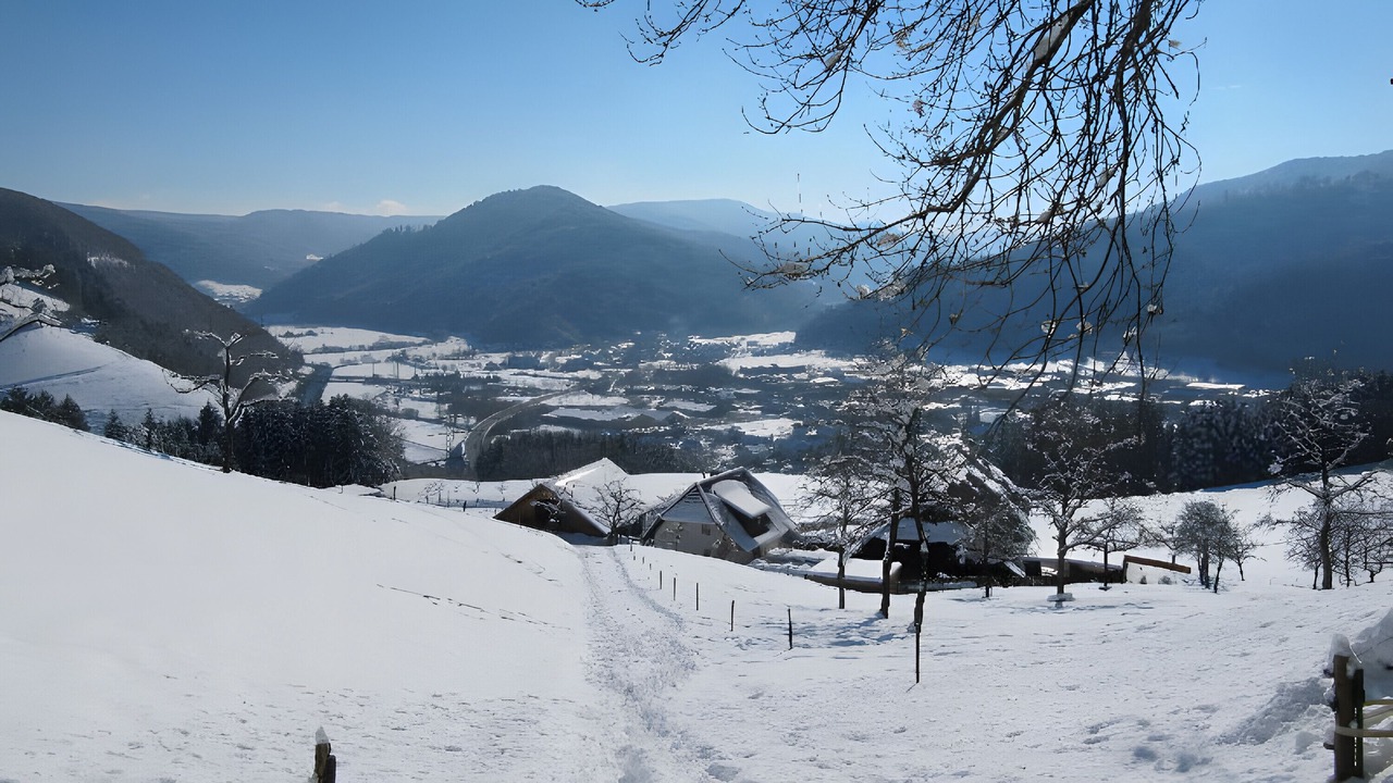 Photo of Others in Hausach