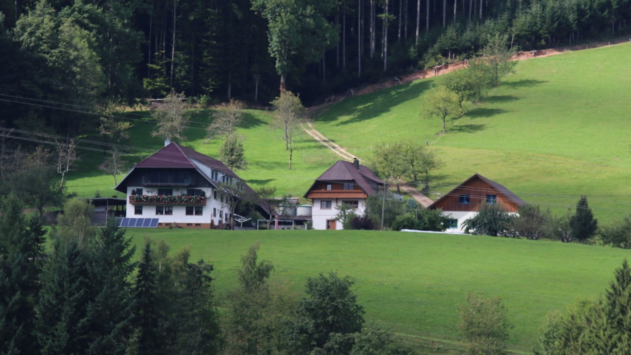Photo of Outdoor in Hausach