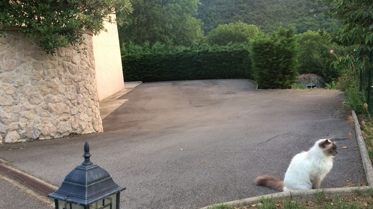 Photo of Outdoor in Foix
