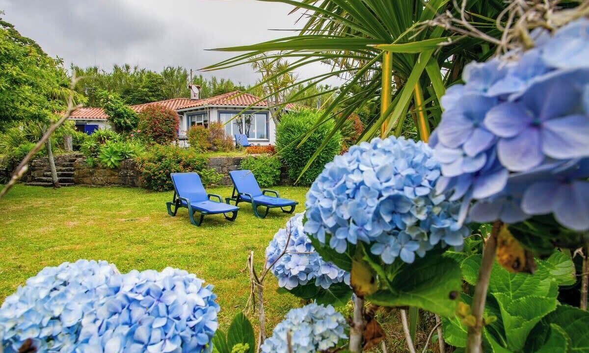 Photo of Outdoor in Ponta Delgada