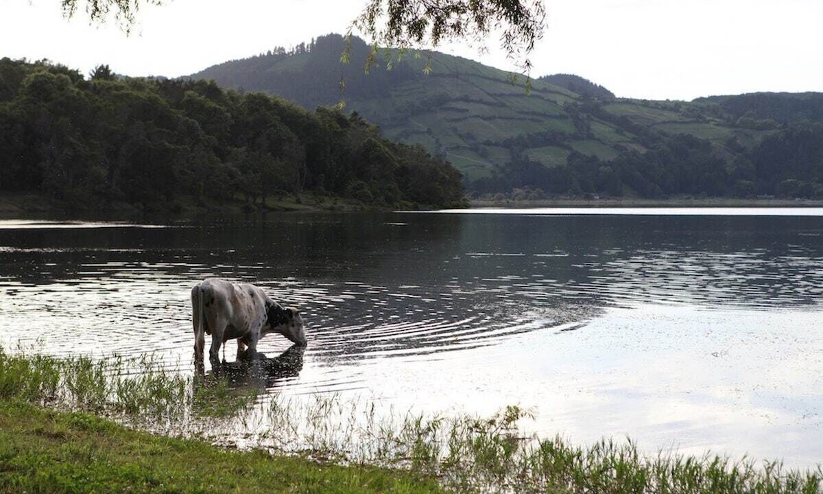 Photo of Others in Sete Cidades