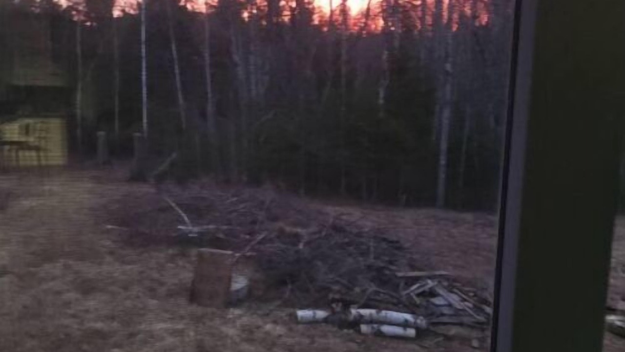 Photo of Others in Amherst