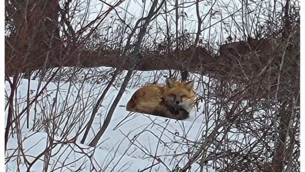 Photo of Others in Amherst