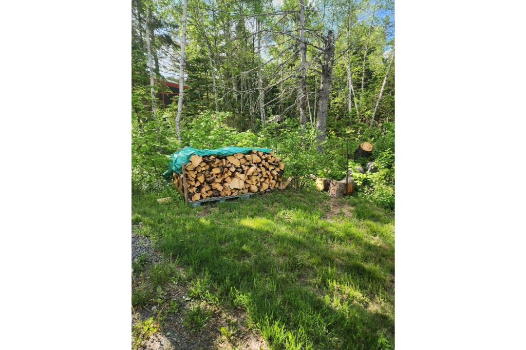 Photo of Outdoor in Amherst