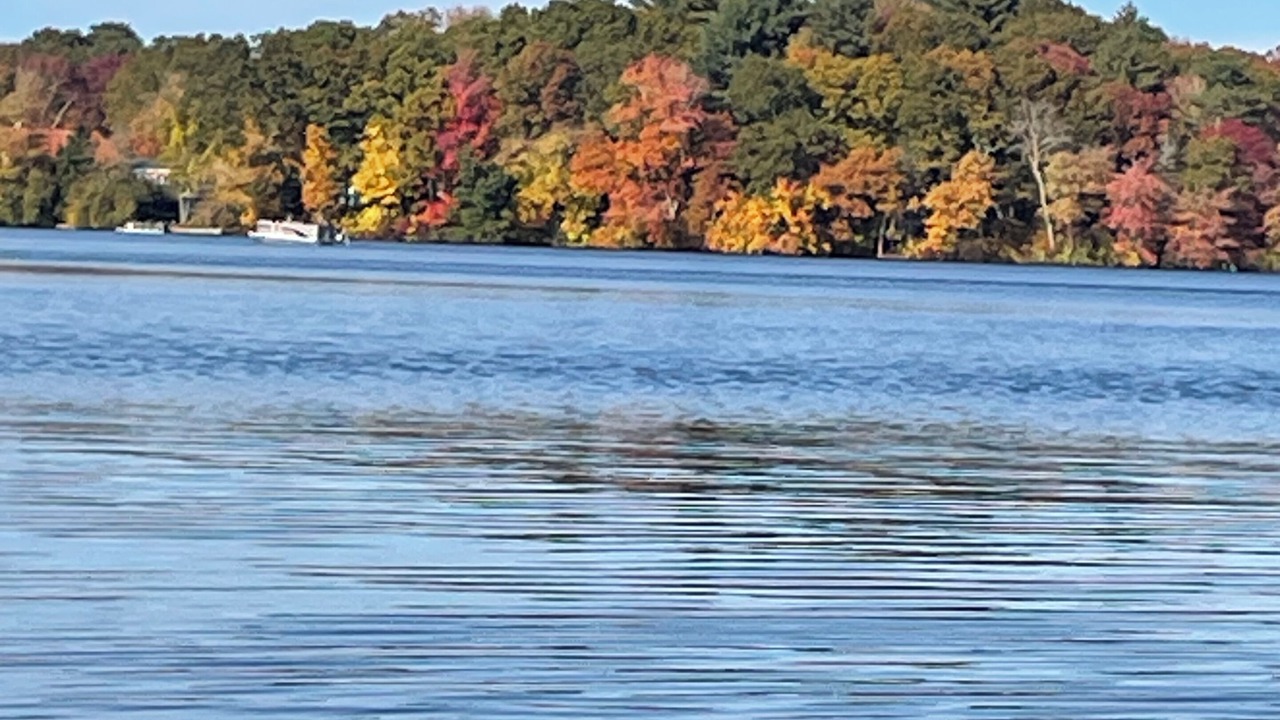 Photo of Others in Jewett City