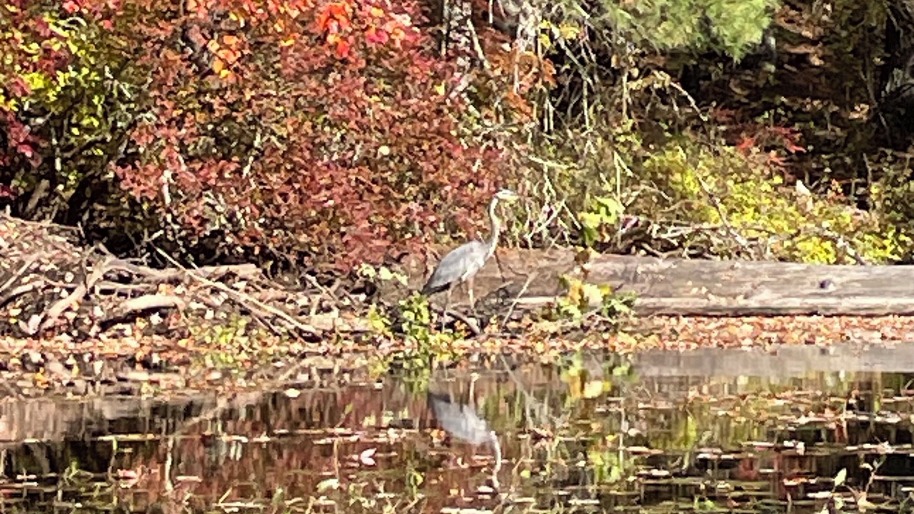 Photo of Others in Jewett City