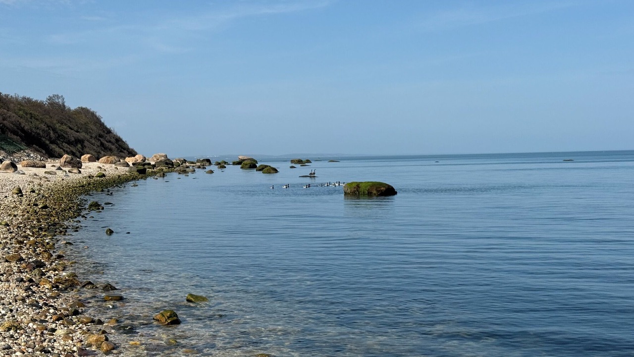 Photo of Others in Cutchogue