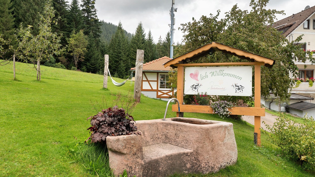 Photo of Outdoor in Bad Peterstal-Griesbach