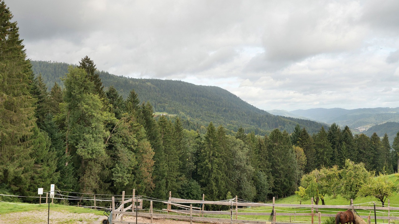 Photo of Others in Bad Peterstal-Griesbach
