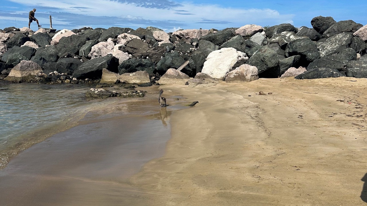 Photo of Others in Aguadilla Pueblo