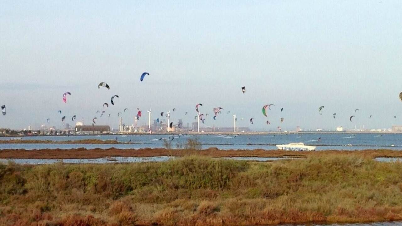 Photo of Others in Port-Saint-Louis-du-Rhone
