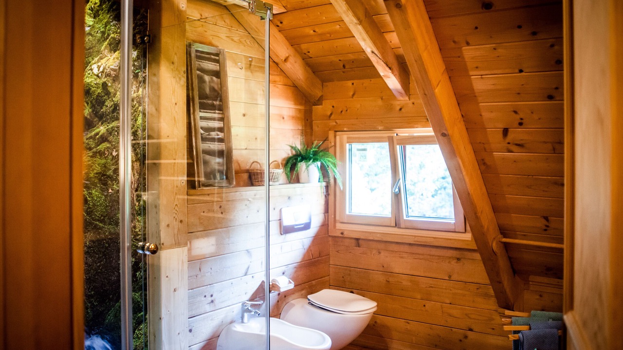 Photo of Bathroom in Breitnau