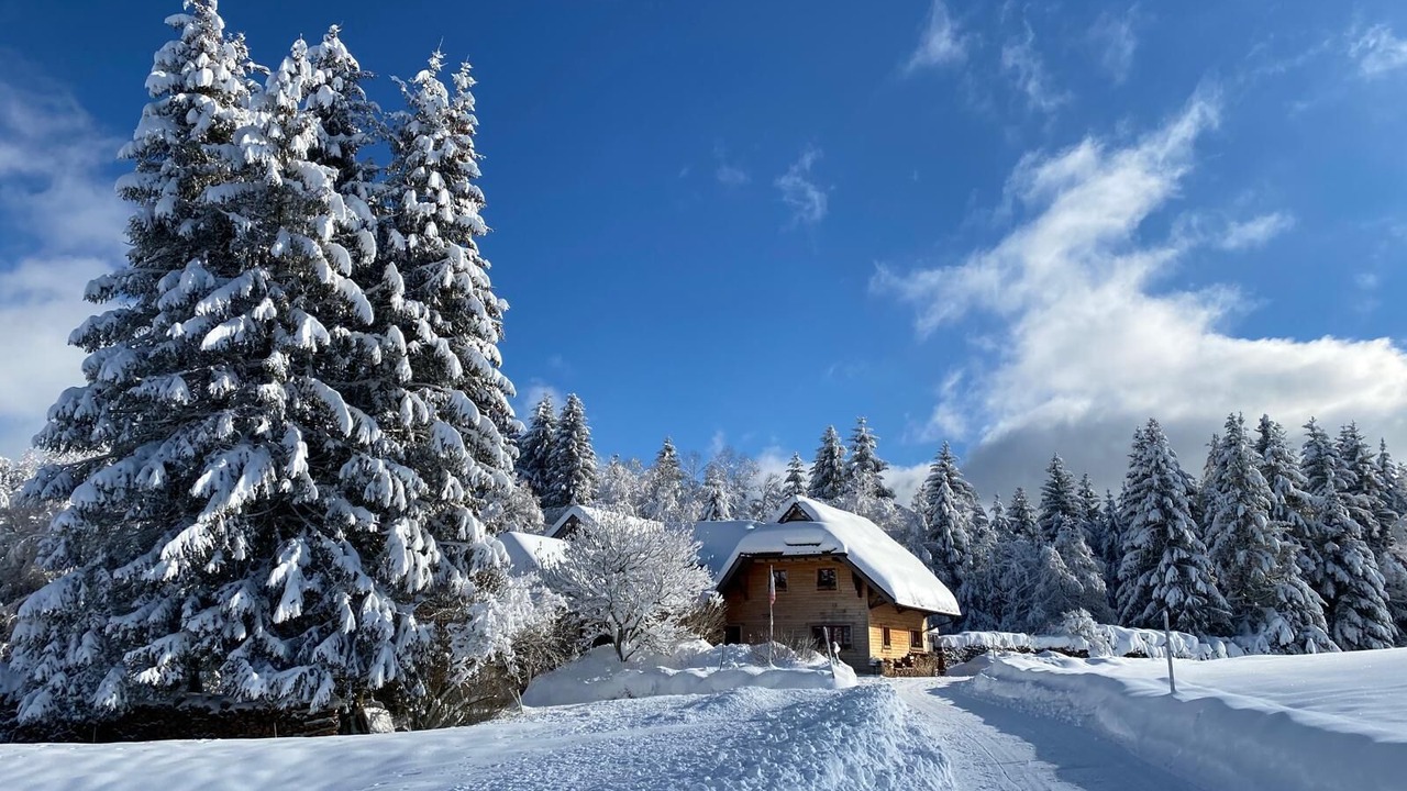 Photo of Outdoor in Breitnau