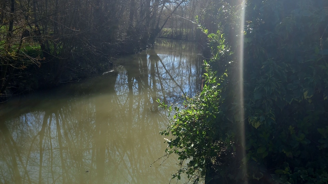 Photo of Others in Saint-Hilaire-la-Palud