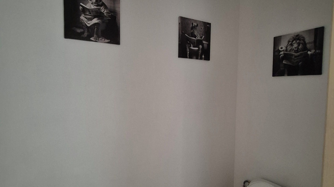 Photo of Bathroom in Le Poire-sur-Vie