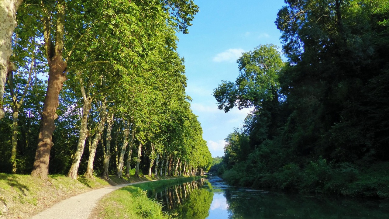 Photo of Others in Blaignac