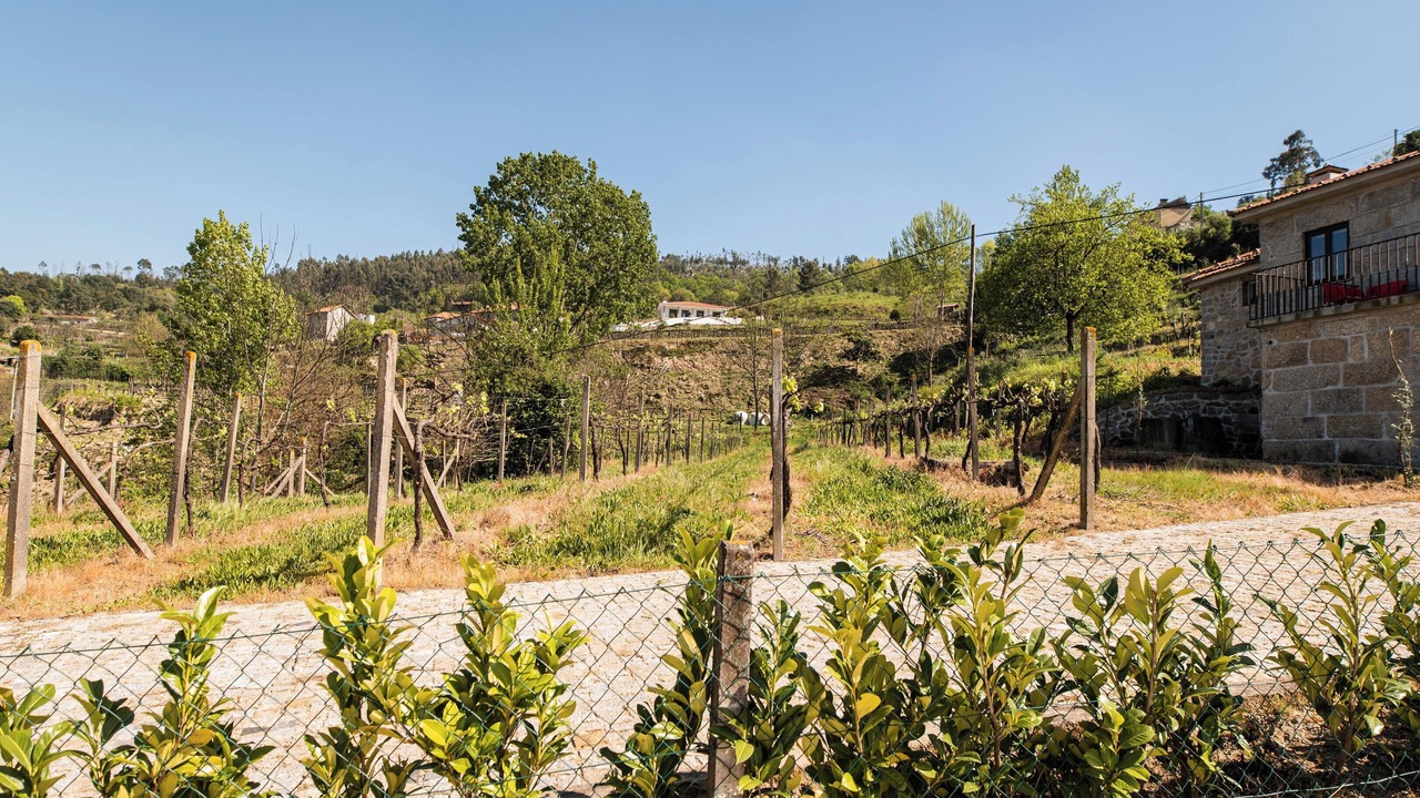Photo of Outdoor in Castelo de Paiva