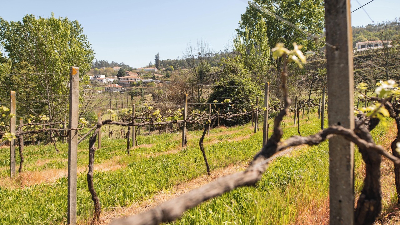 Photo of Outdoor in Castelo de Paiva