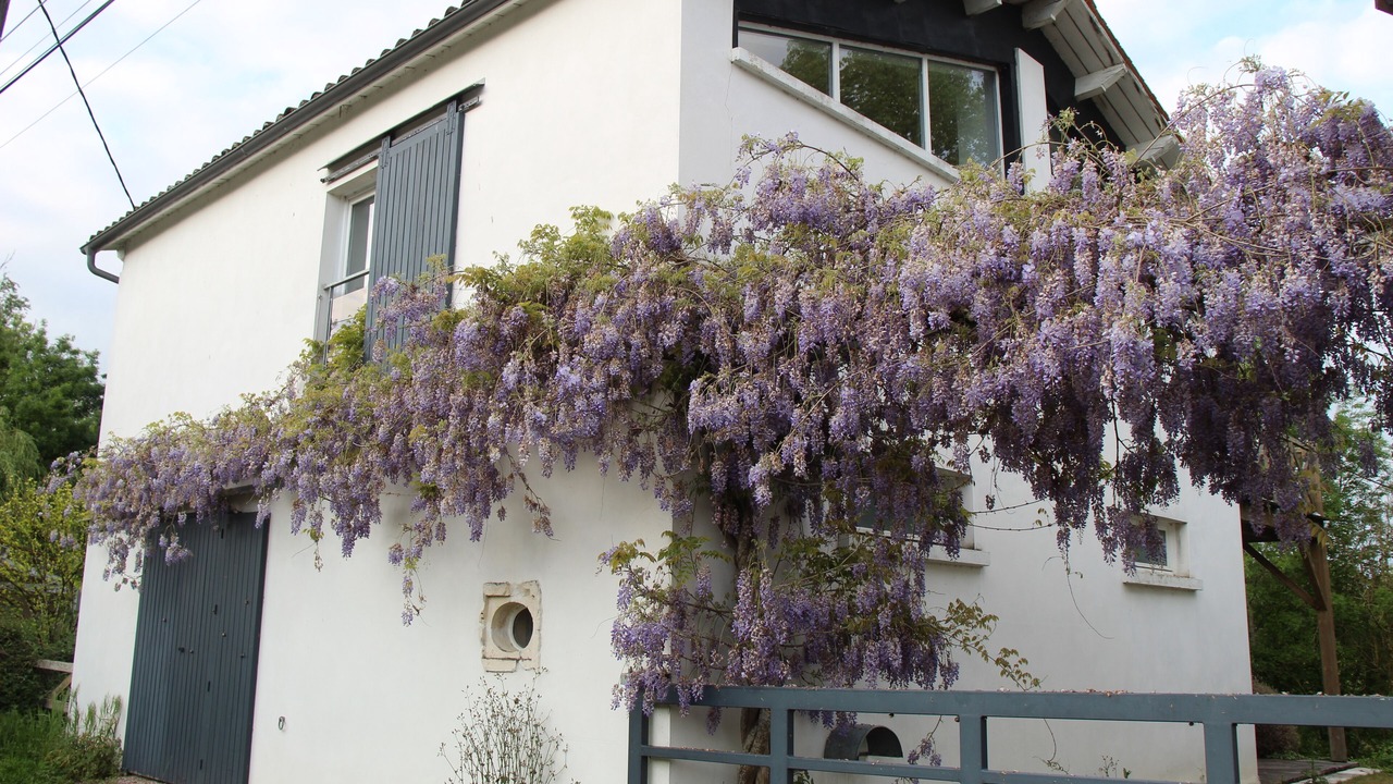 Photo of Outdoor in La Greve-sur-Mignon