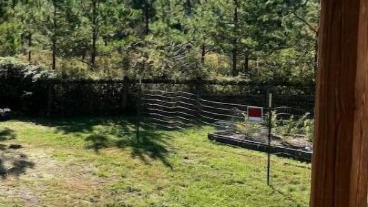 Photo of Outdoor in Nelsonville