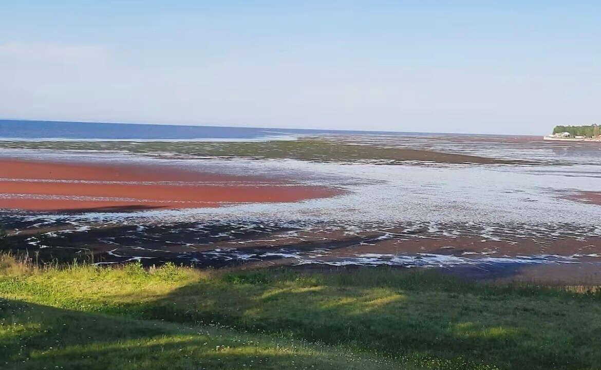 Photo of Others in Tidnish Bridge