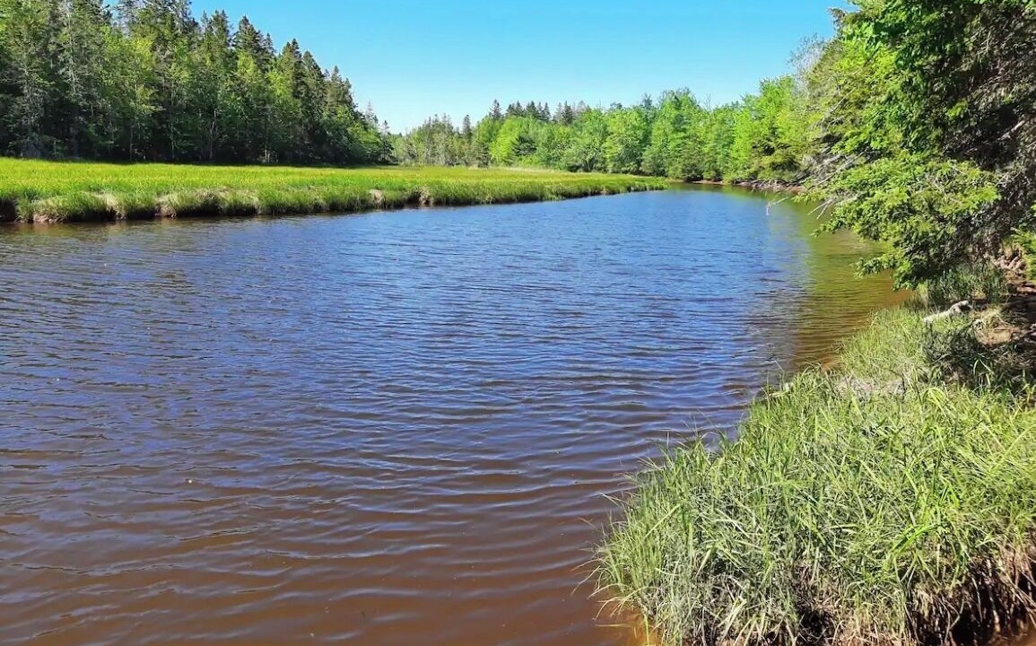 Photo of Others in Tidnish Bridge