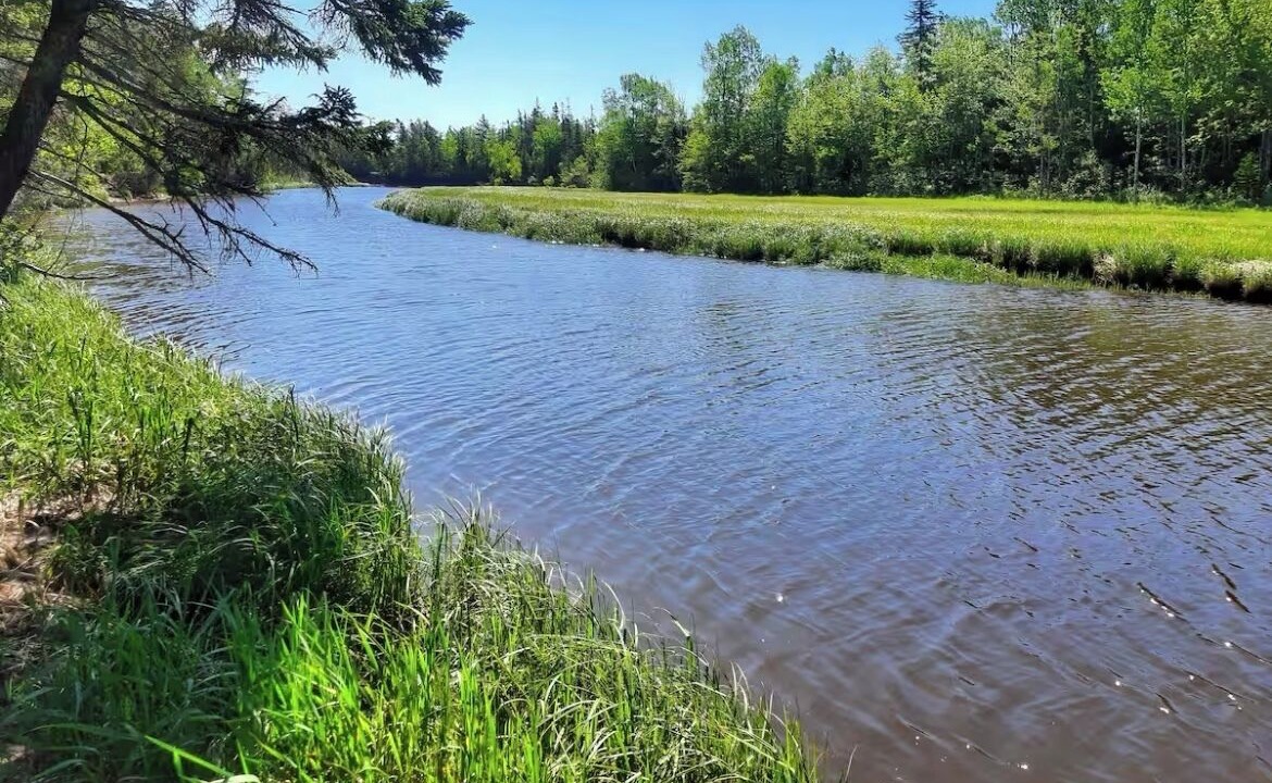 Photo of Others in Tidnish Bridge