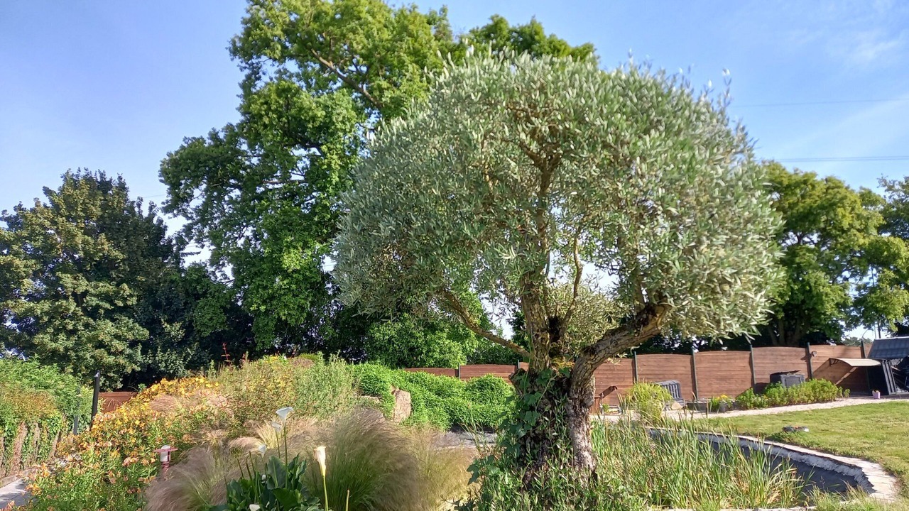 Photo of Outdoor in Cholet