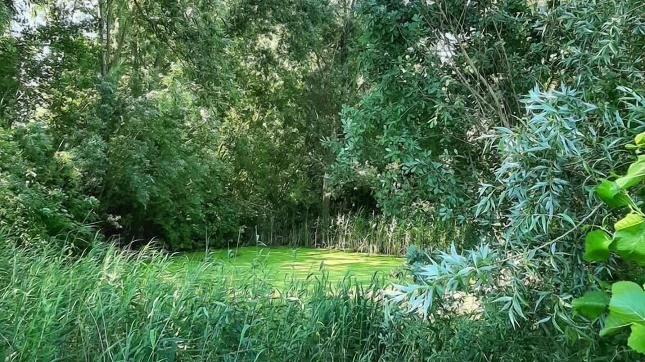 Photo of Outdoor in Groede