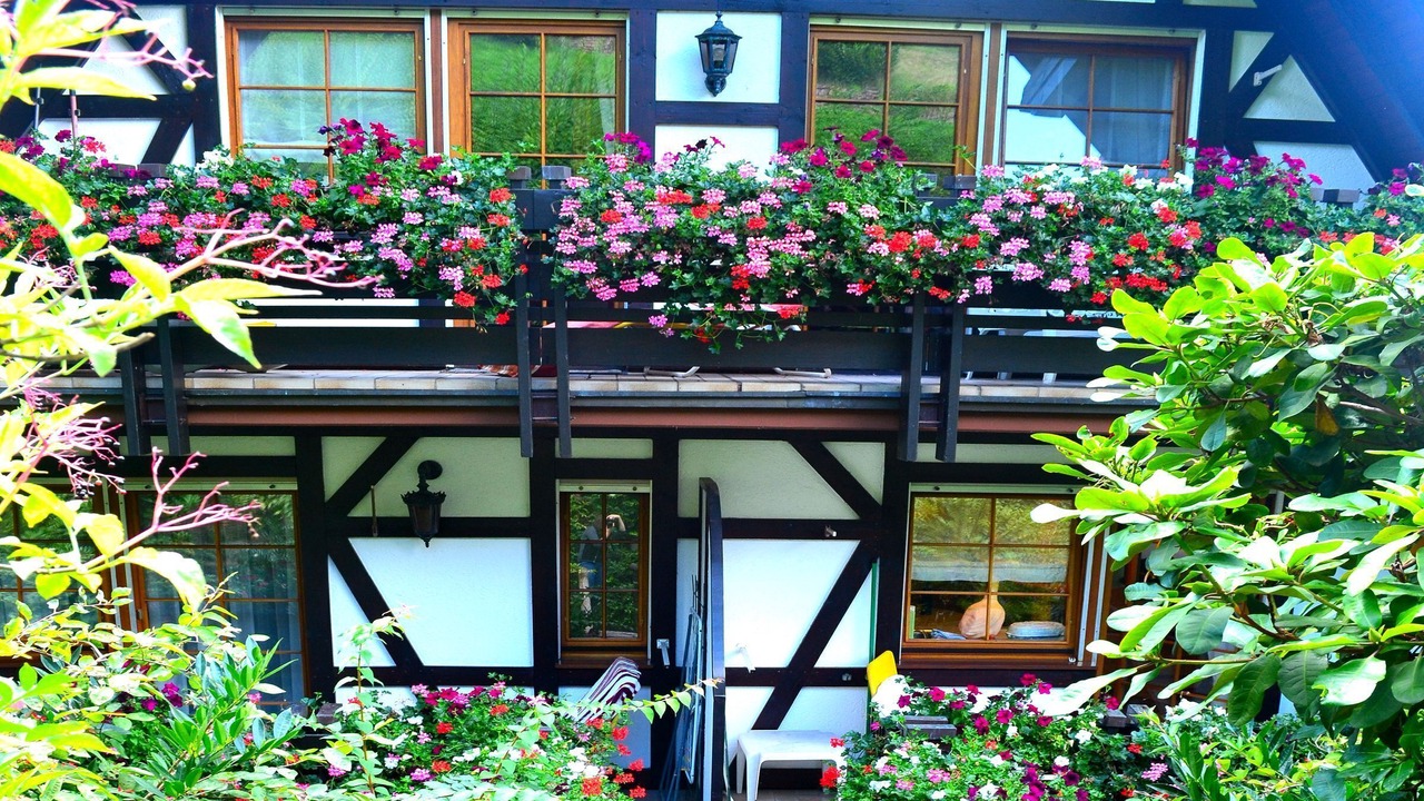 Photo of Outdoor in Sasbachwalden