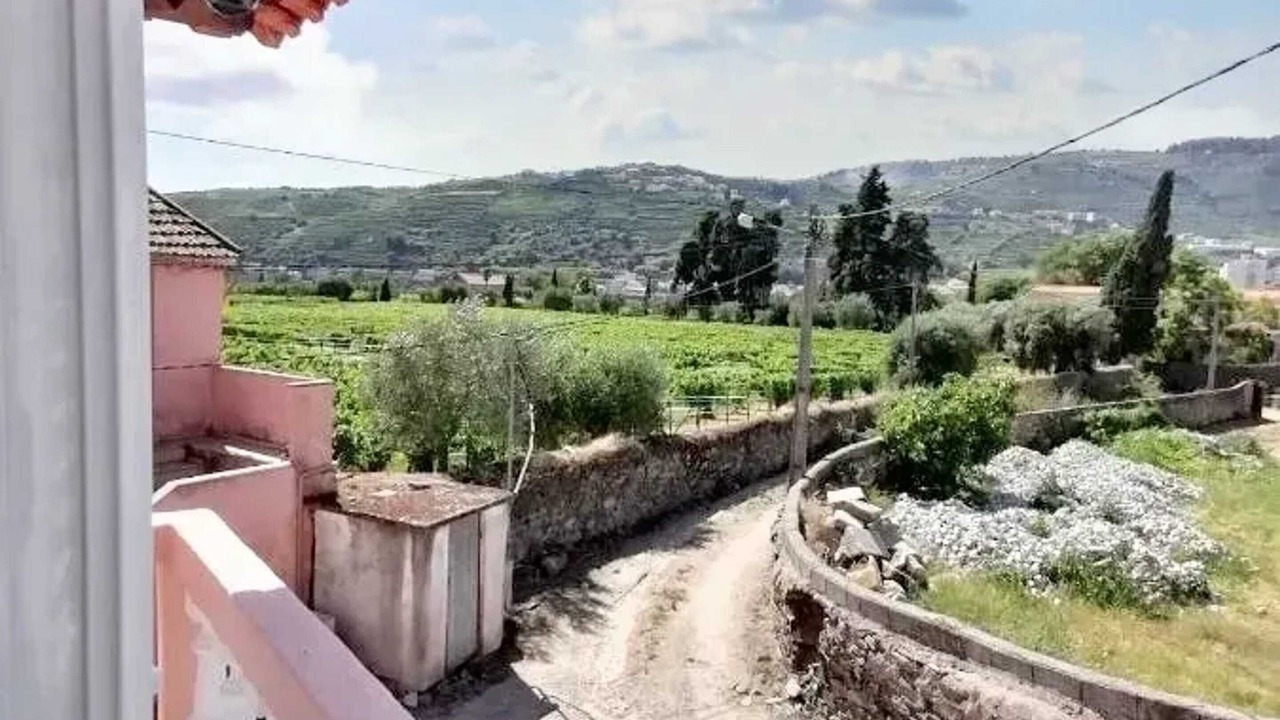 Photo of Outdoor in Lamego