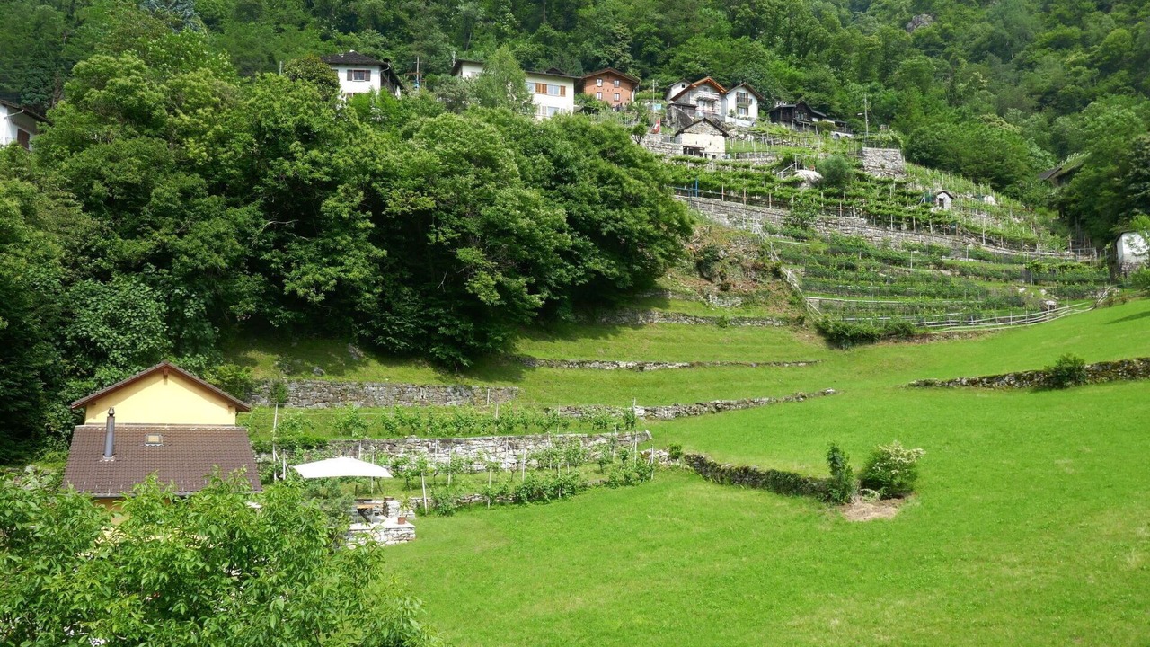 Photo of Outdoor in Malvaglia-dagro