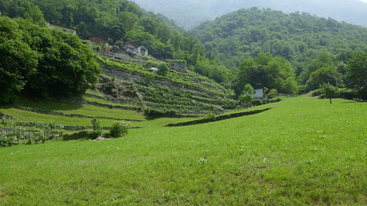 Photo of Others in Malvaglia-dagro