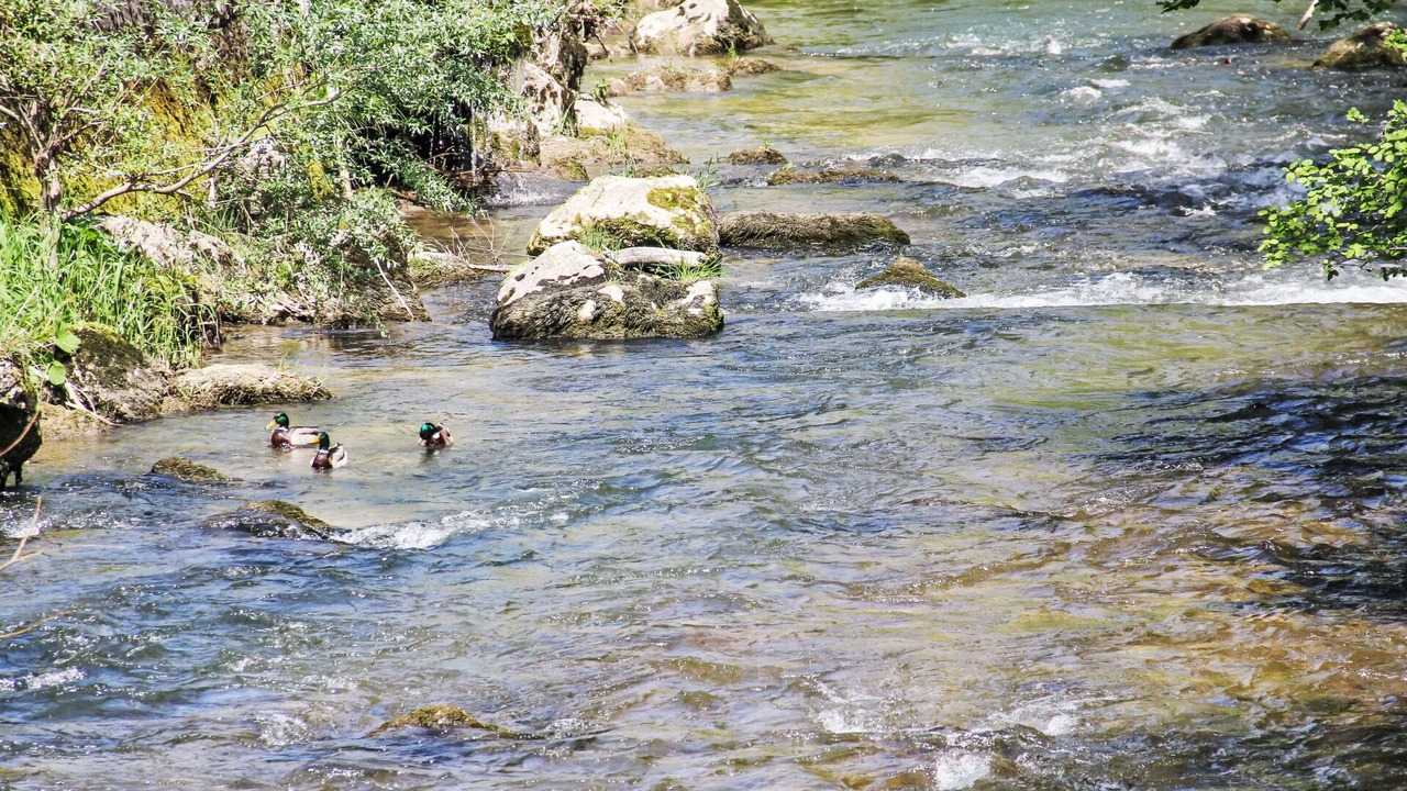 Photo of Others in Moutier