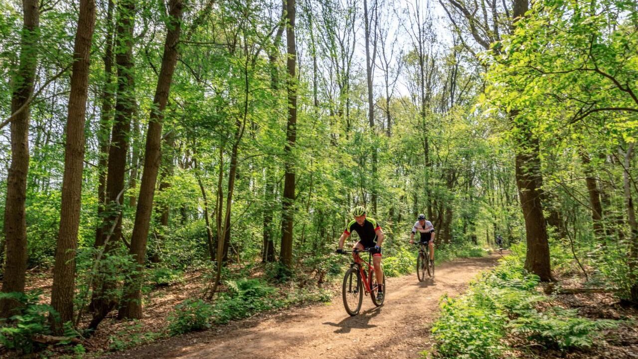 Photo of Others in Hoogersmilde