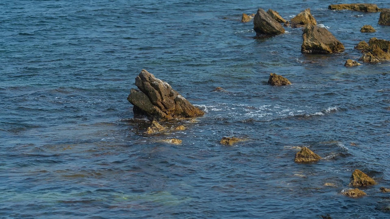 Photo of Others in L'Escala