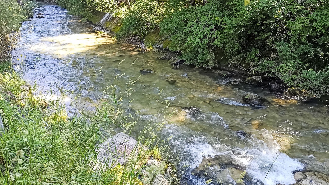 Photo of Others in Moutier