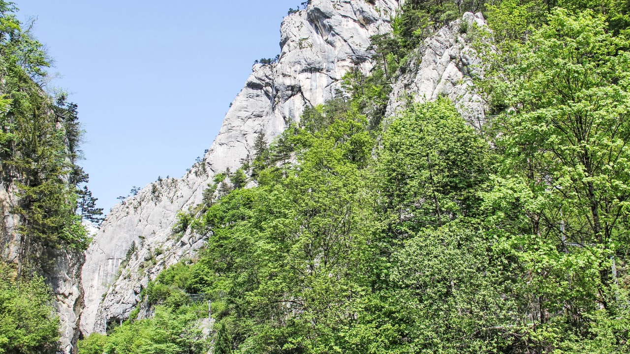 Photo of Others in Moutier