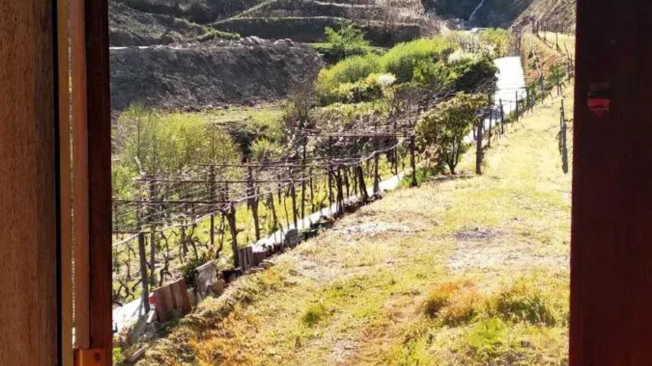 Photo of Others in Lamego
