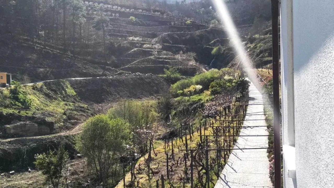 Photo of Outdoor in Lamego