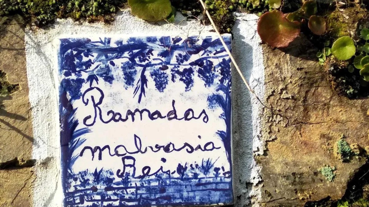 Photo of Others in Lamego