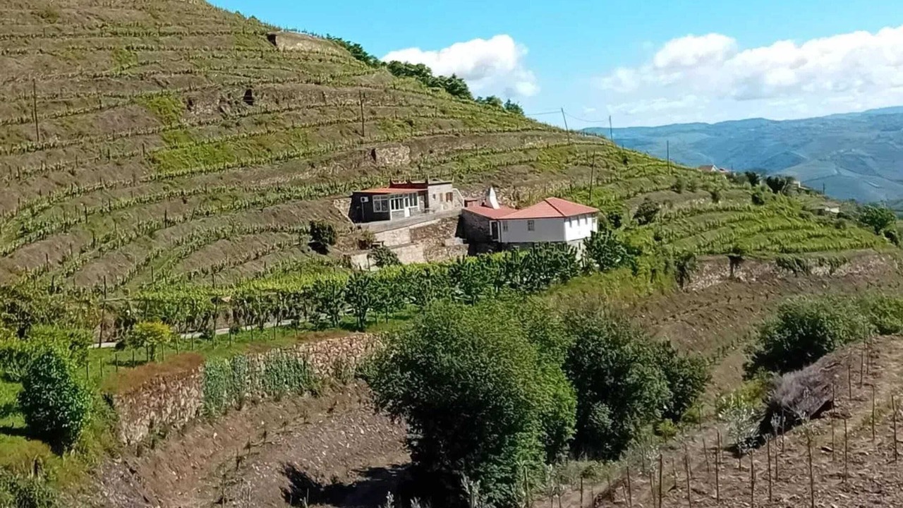 Photo of Others in Lamego
