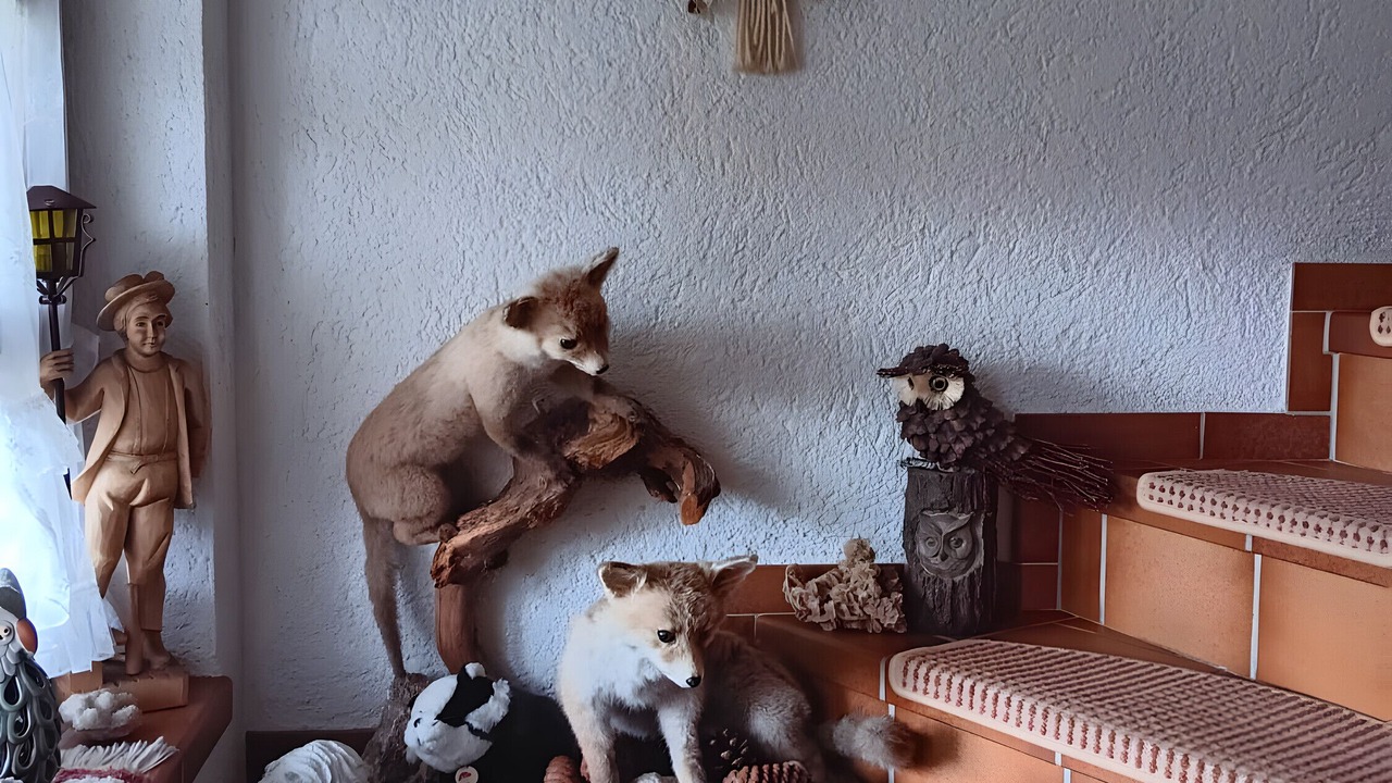 Photo of Others in Wittenschwand