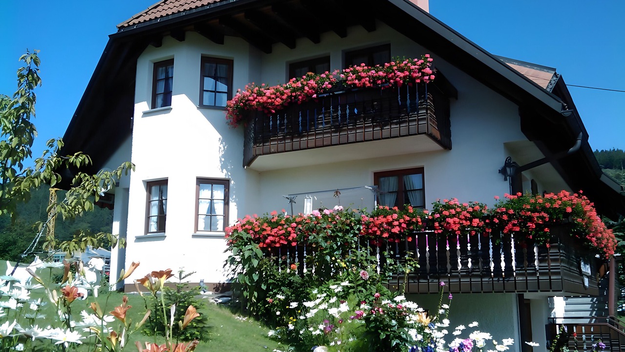 Photo of Outdoor in Wittenschwand