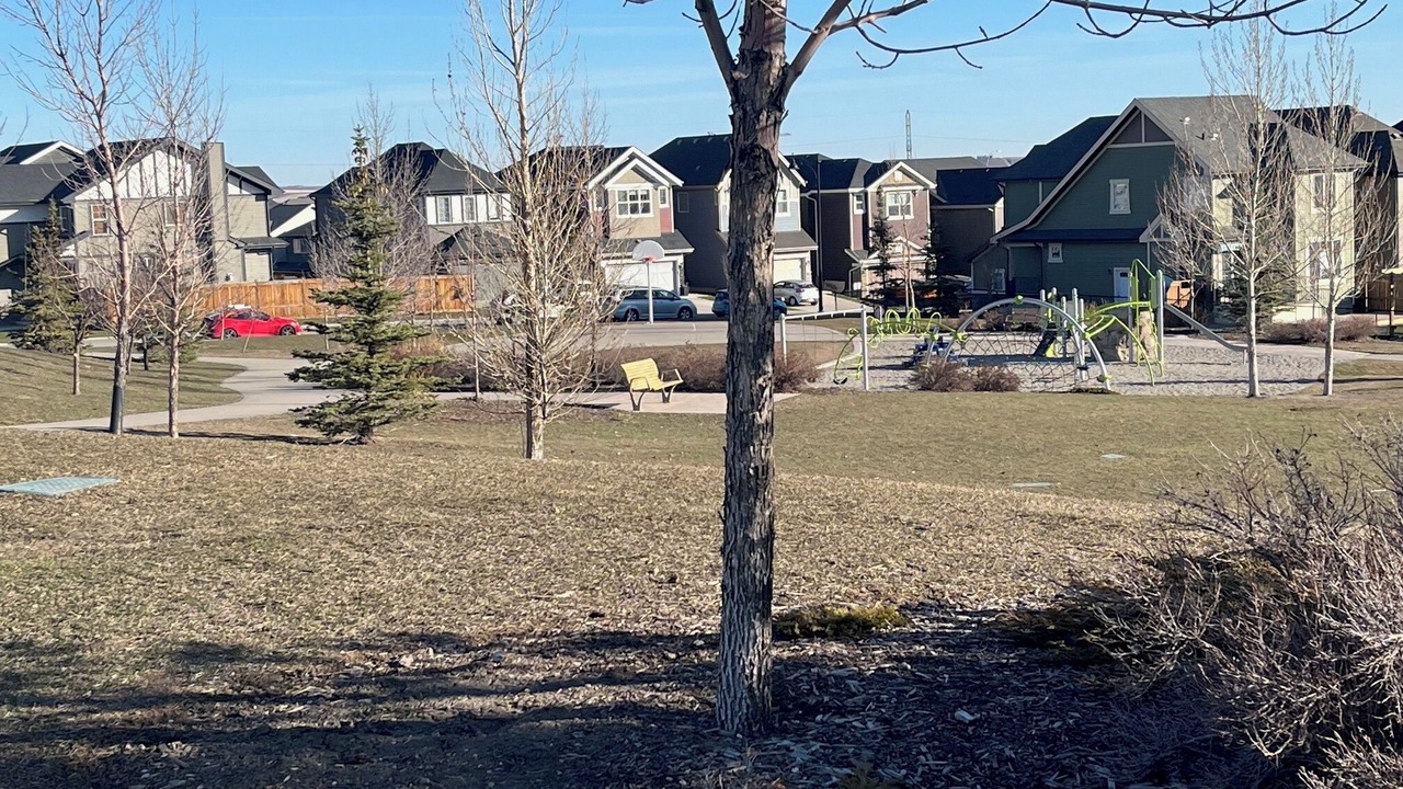 Photo of Others in Symons Valley