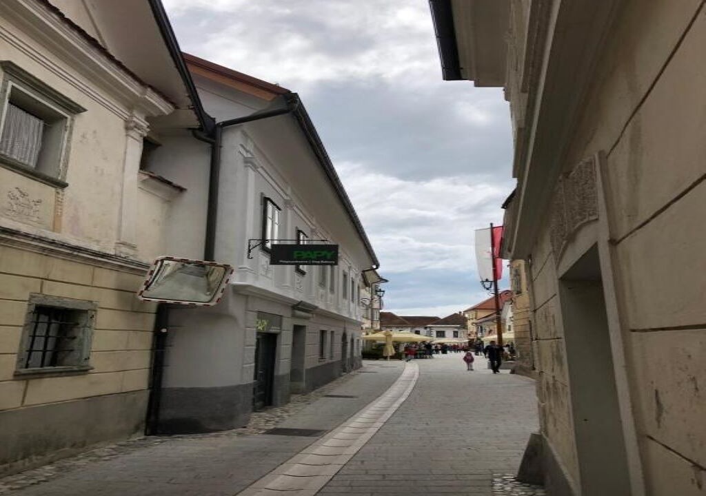 Photo of Others in Radovljica