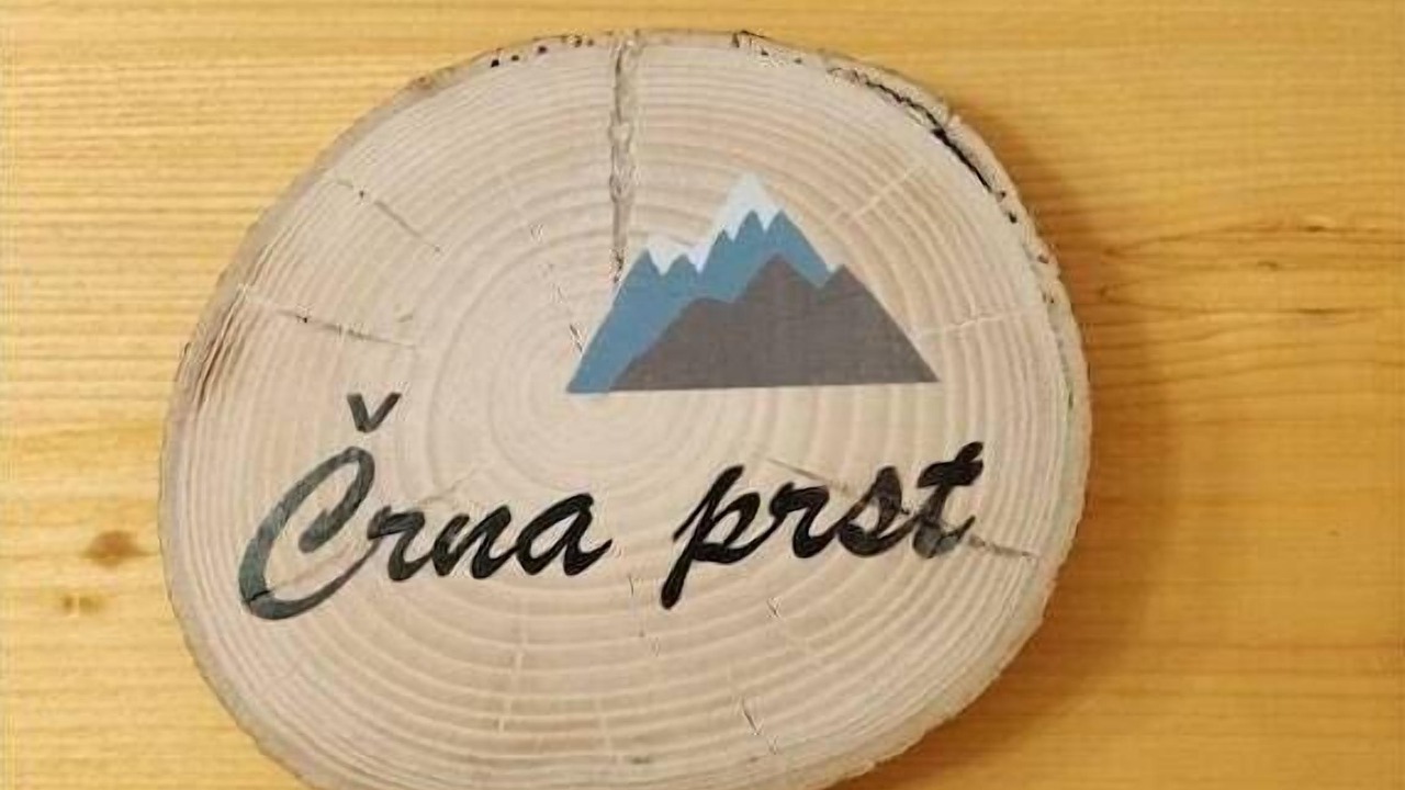 Photo of Others in Bohinjska Bistrica