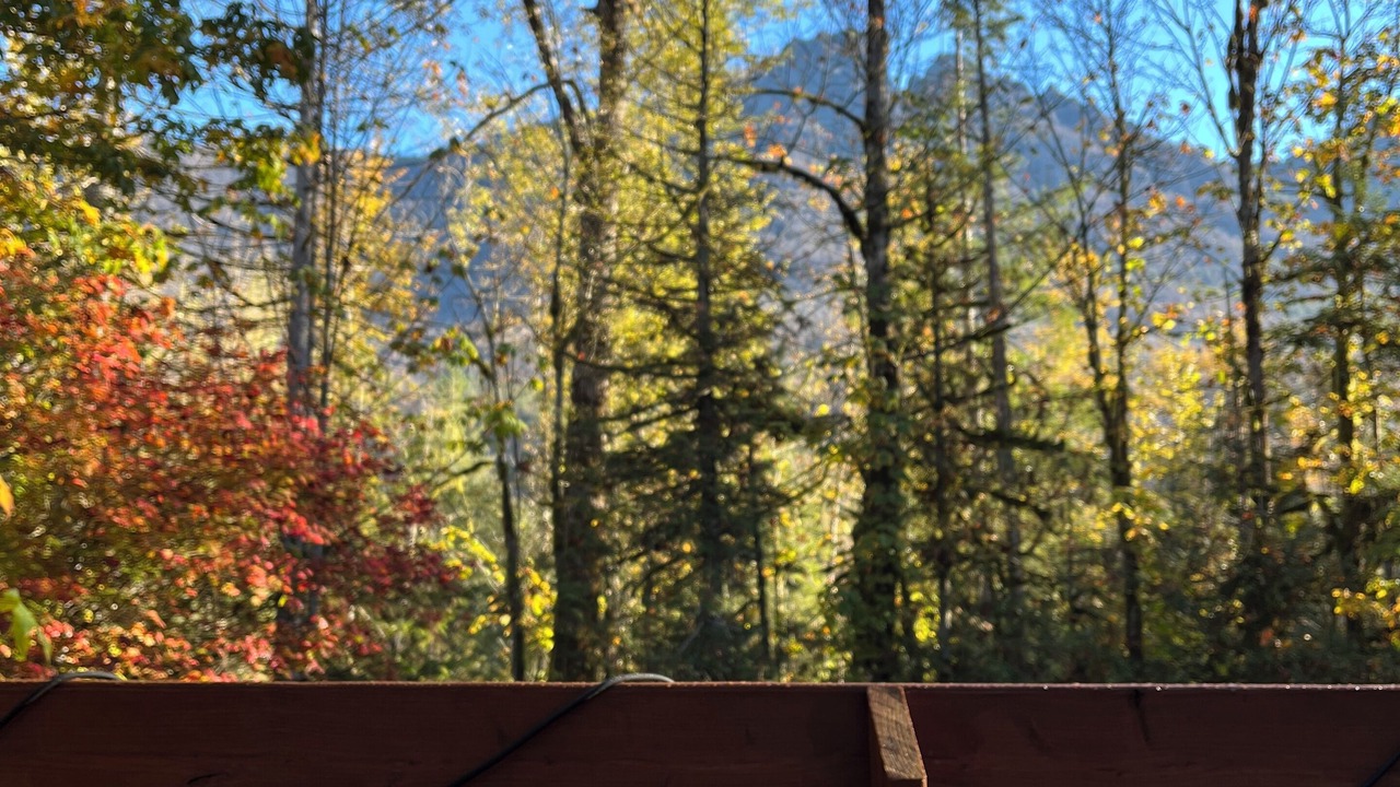 Photo of Outdoor in Baring