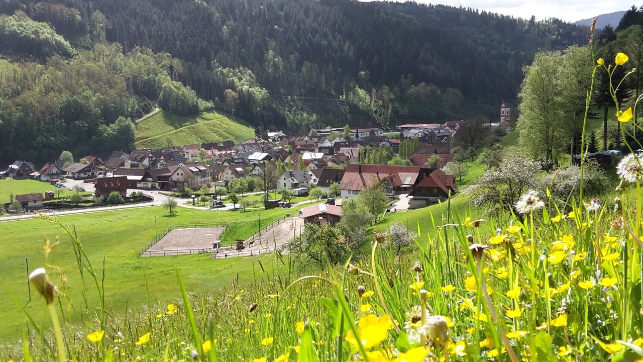 Photo of Others in Oberwolfach